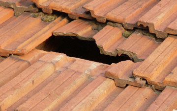 roof repair Alswear, Devon